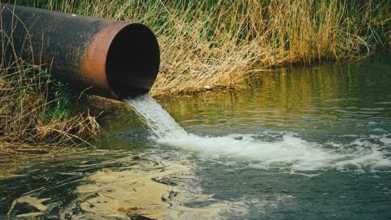 Pollution Control Board Issues Notices to 25 Kanpur Tanneries Over Wastewater Violations