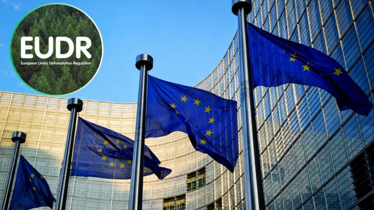 European Commission Updates Product Scope Removing Leather from EU Deforestation Regulation