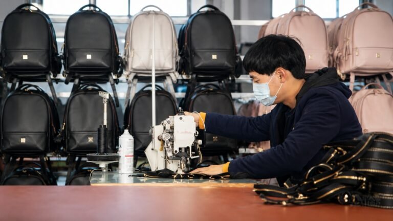 China Reports 4% Decline in Bags and Cases Exports to $9.55 Billion in January-April 2026