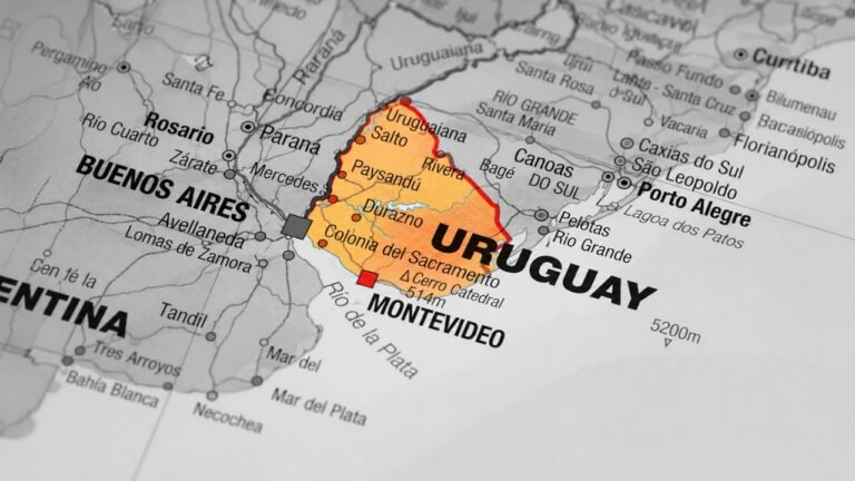 Uruguay Leather Exports Fall 19% to $35 Million in H1 2026 as June Recovery Signals Improvement
