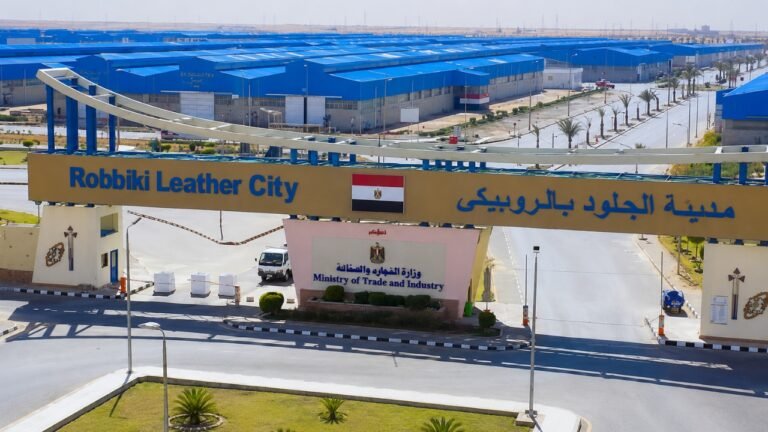 Egyptian Cabinet Approves $12 Million Leather Goods and Footwear Manufacturing Project in Robbiki Leather City