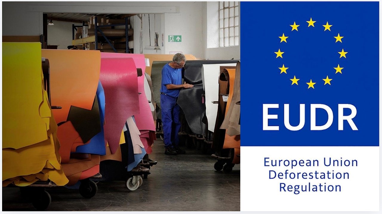 Leather Formally Excluded From EUDR as COTANCE Calls Decision Historic Victory