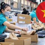 Vietnam Leather and Footwear Exports Rise 2.4% to $19.54 Billion in First 8 Months of 2026