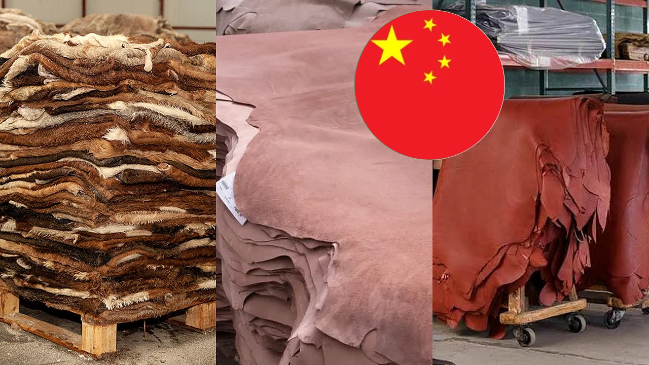 China Imports $1.27 Billion of Raw Hides, Semi-Finished and Finished Leather in H1 2026
